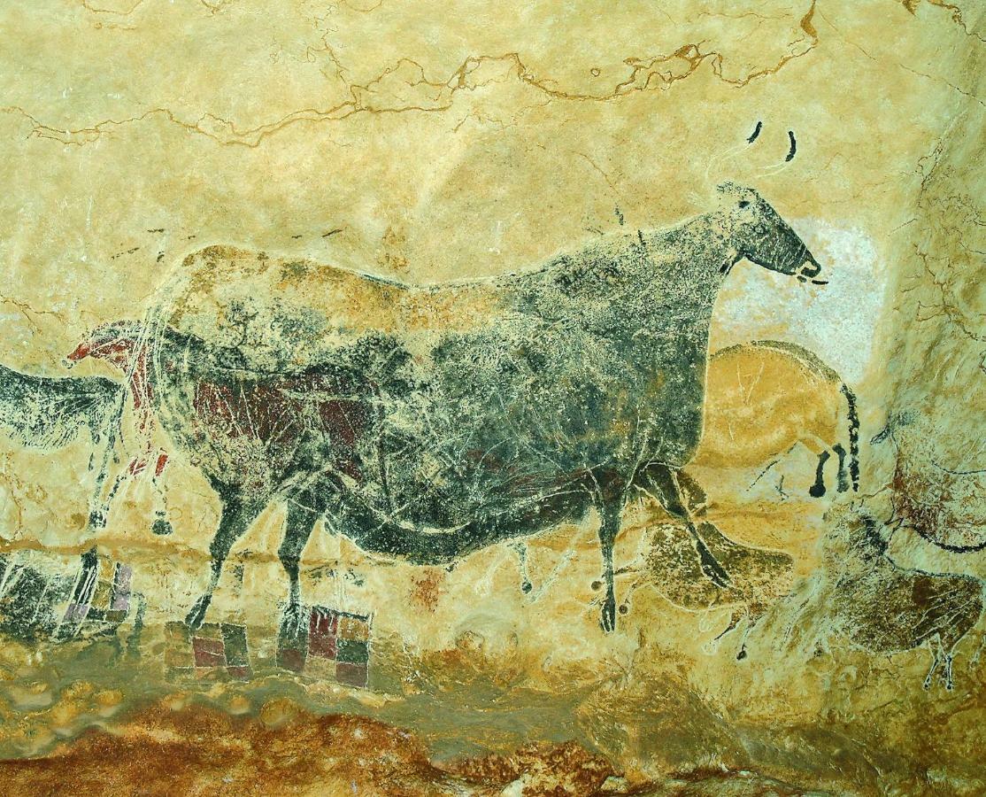 Les Toits De Lascaux Montignac-Lascaux Kültér fotó